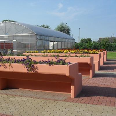 Sdc12956